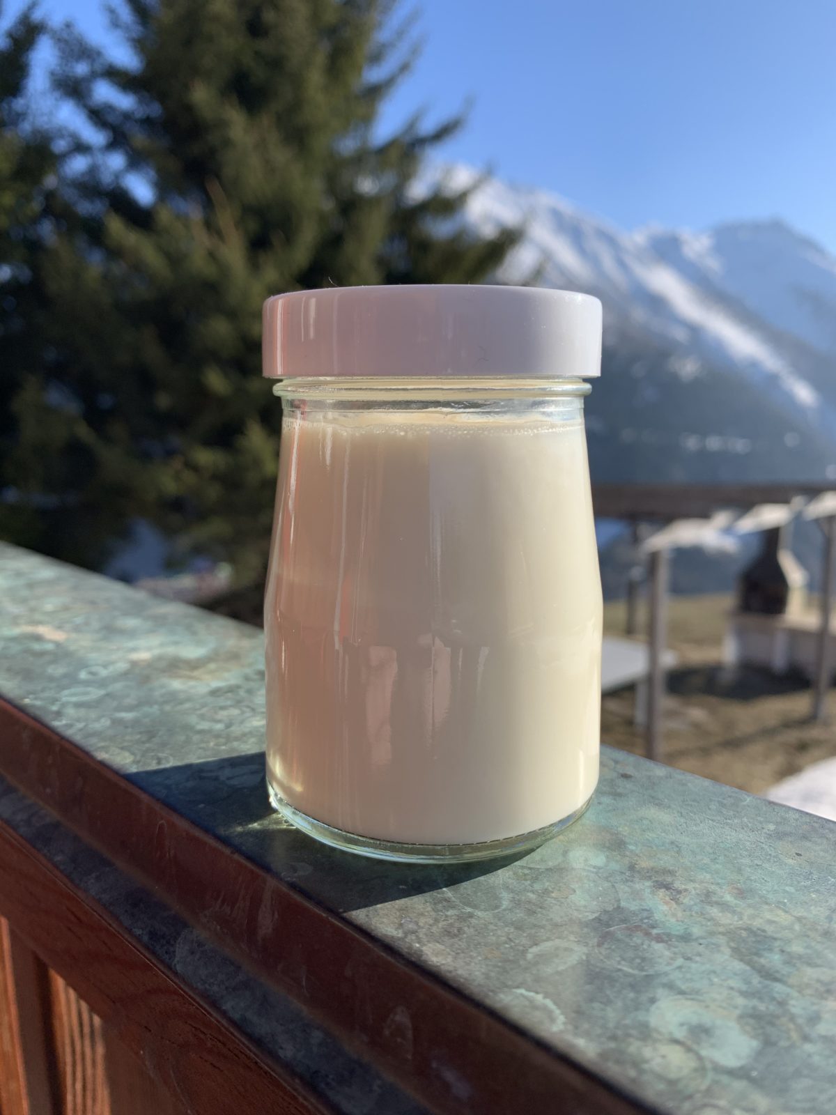 Yogourt au lait de soja maison